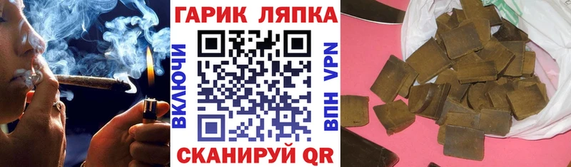 Купить  Светогорск  ГАШ Premium 