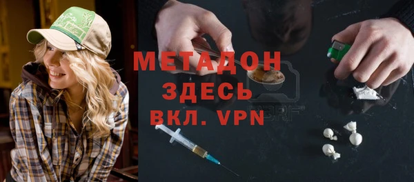 прущие грибы Аркадак
