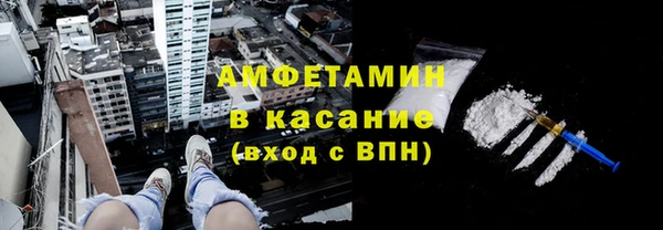 прущие грибы Аркадак