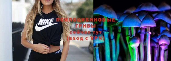 сатива Армянск
