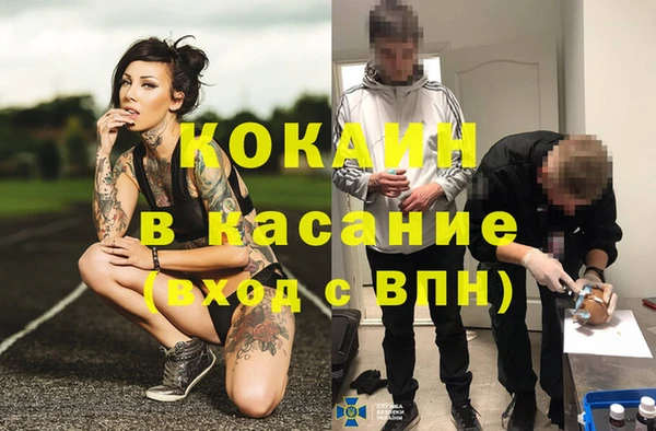 сатива Армянск