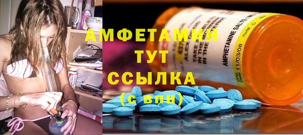 сатива Армянск