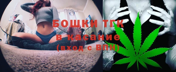 прущие грибы Аркадак