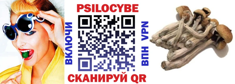 Псилоцибиновые грибы мухоморы  Купить где  Светогорск 